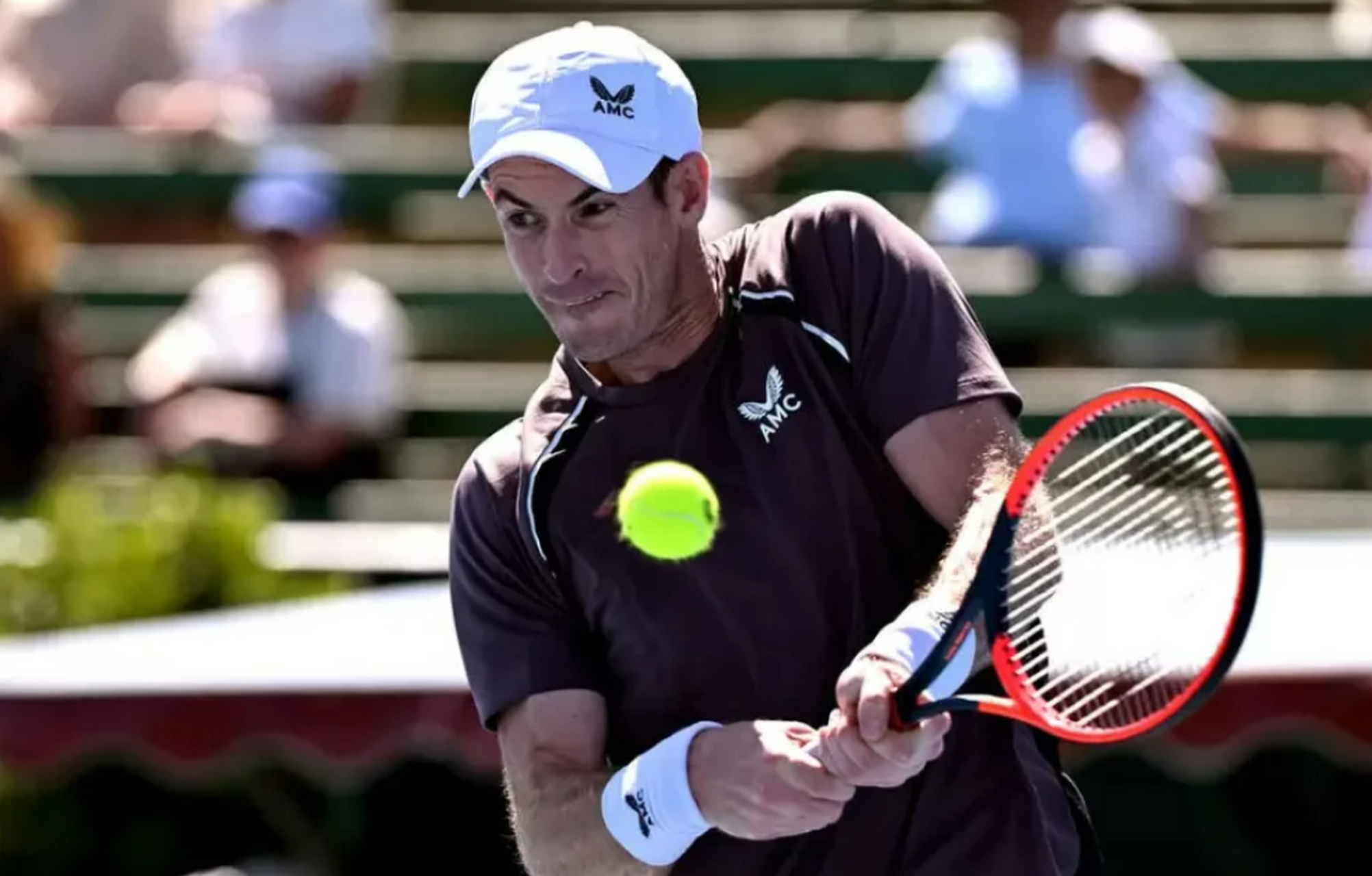 AYX-关于穆雷回归赛场，大胜首场状态亮眼，雄鹿观众沸腾！的信息